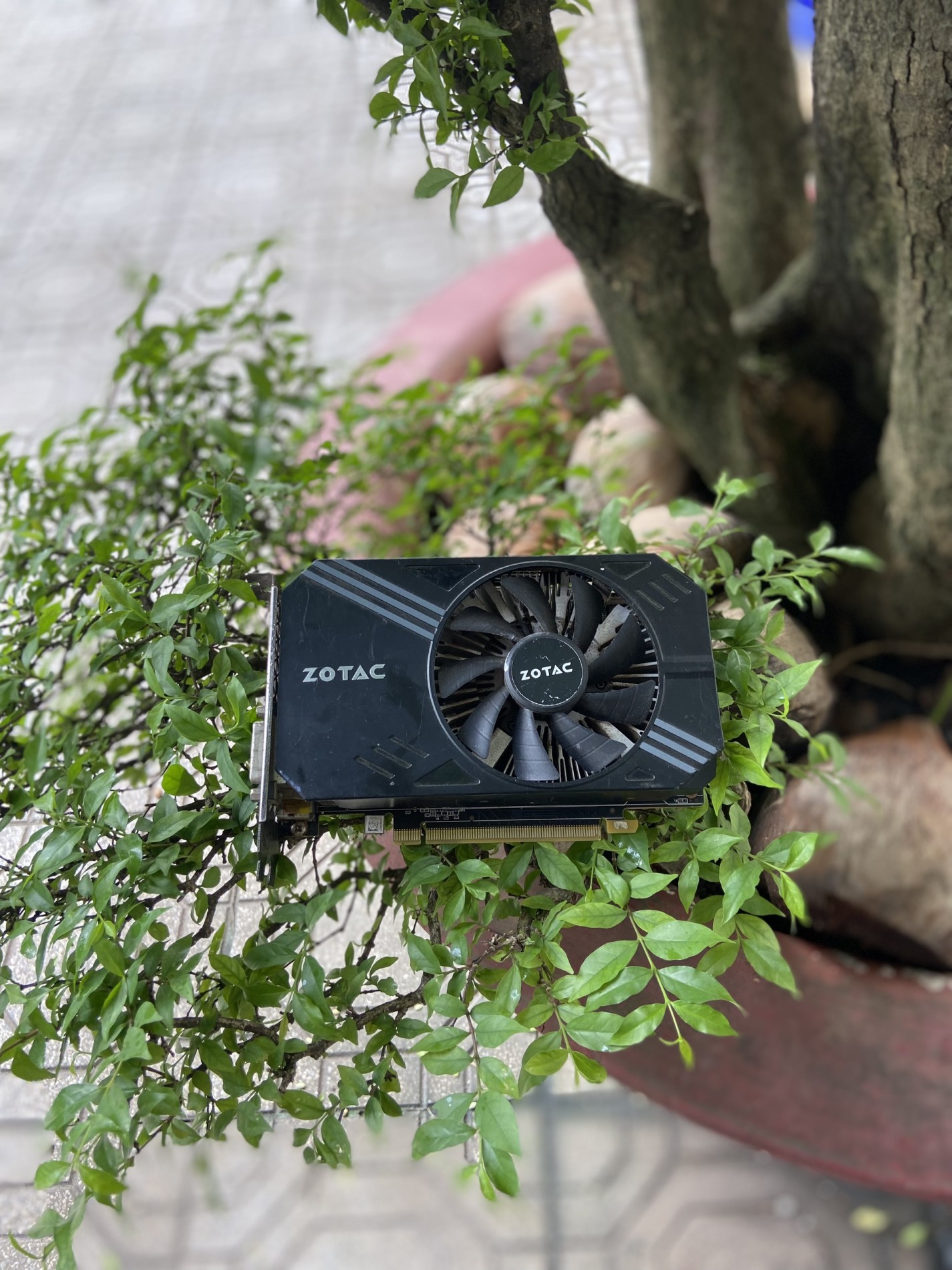 Card màn hình máy tính ZOTAC GeForce GTX 1060 3GD5 1 FAN cũ