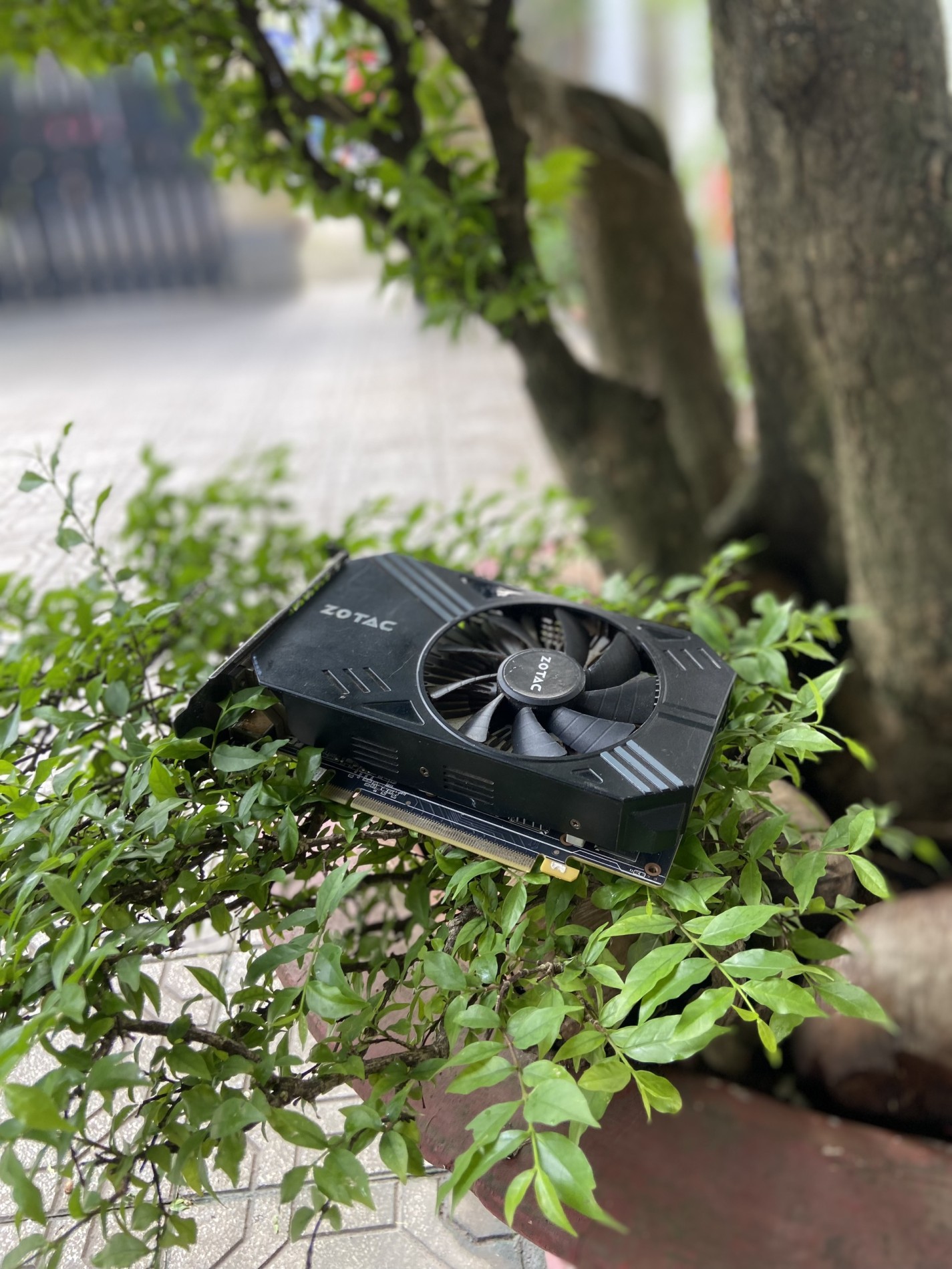 Card màn hình máy tính ZOTAC GeForce GTX 1060 3GD5 1 FAN cũ