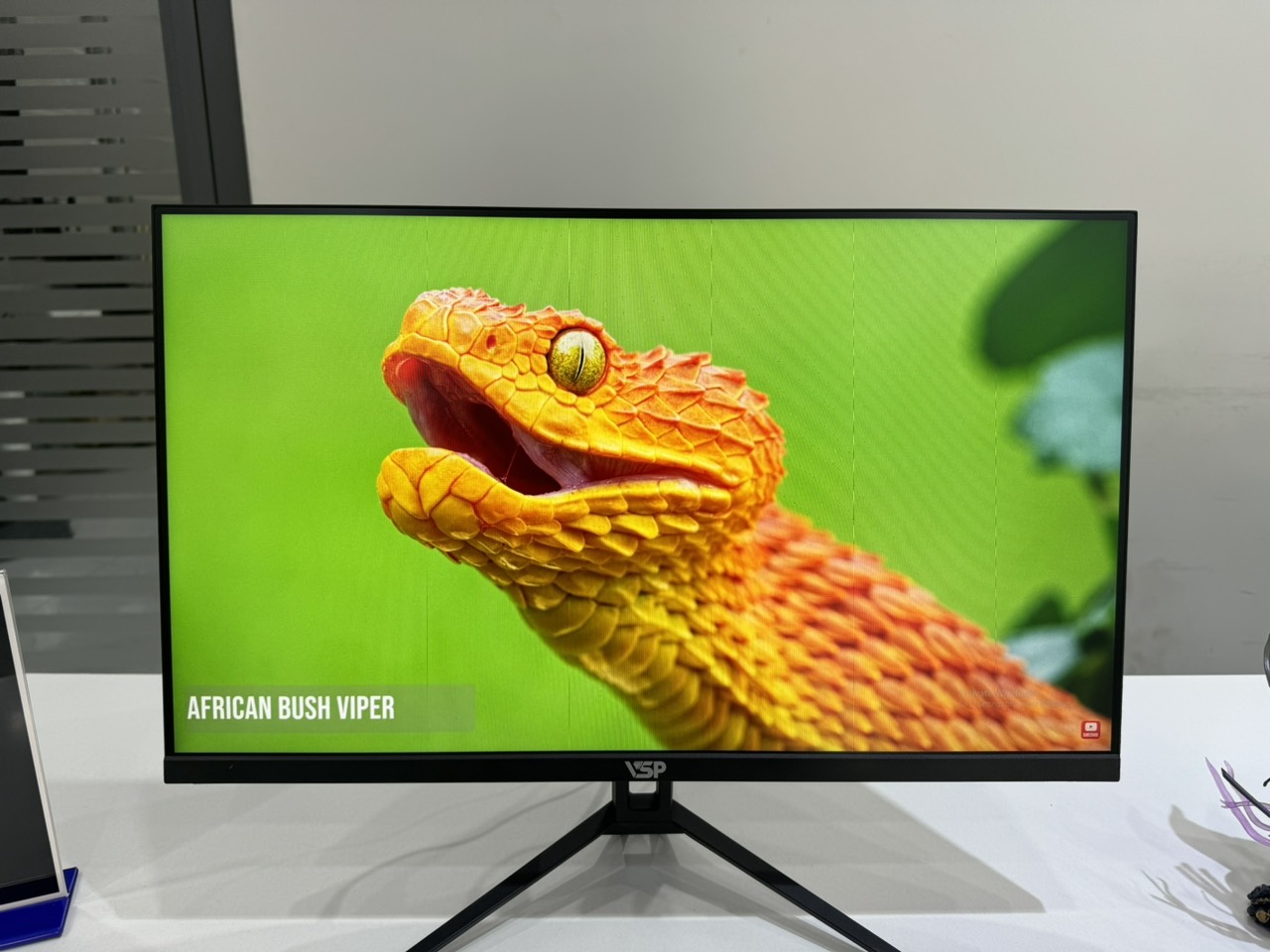 MÀN HÌNH VSP IPS THINKING 24INCH TRÀN VIỀN IP2408S